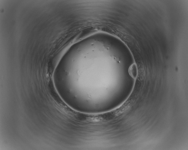 X0000070230654200605301457