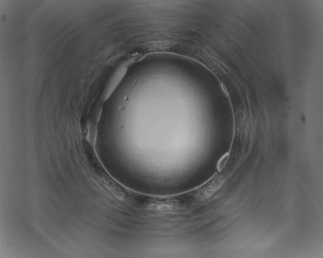 X0000070230655200605301457