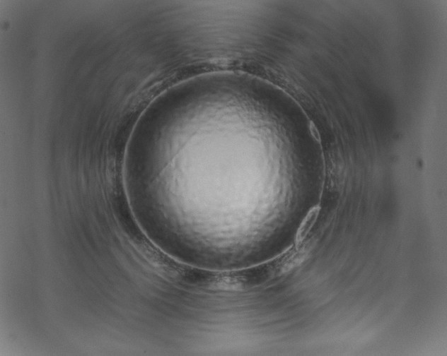 X0000070230656200605301457