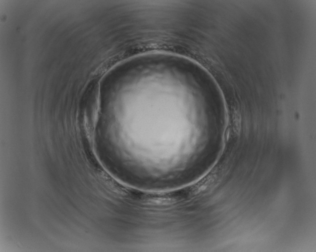 X0000070230657200605301457