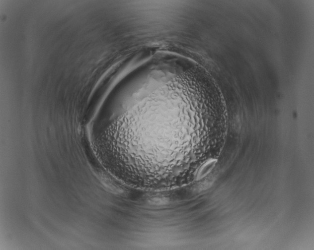 X0000070230658200605301457