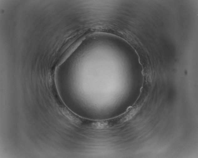 X0000070230660200605301457