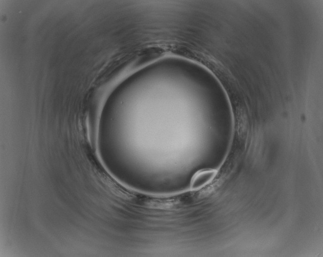 X0000070230661200605301457