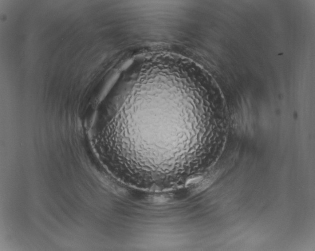 X0000070230662200605301457