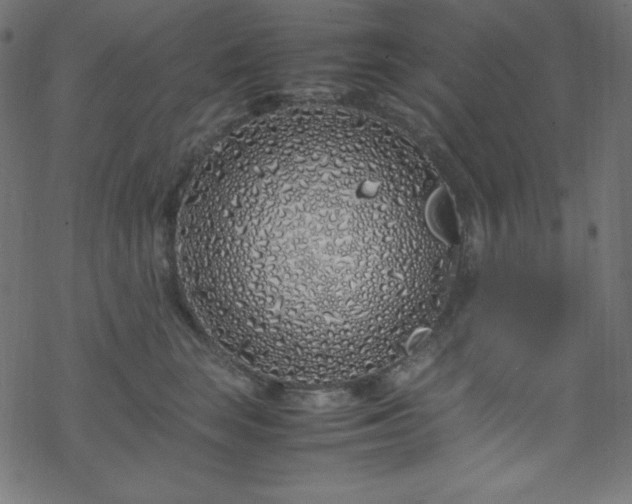 X0000070230663200605301457