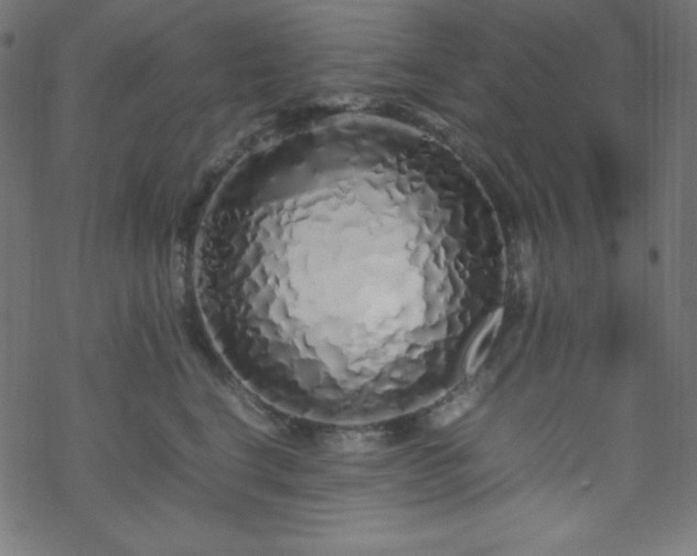 X0000070230664200605301457