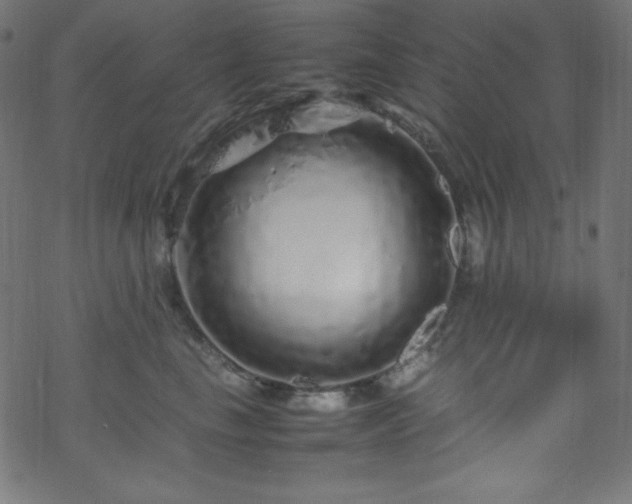 X0000070230665200605301457