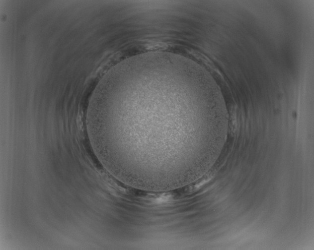 X0000070230667200605301457