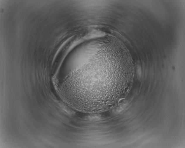 X0000070230668200605301457