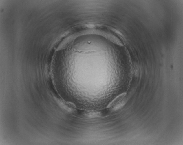 X0000070230670200605301457