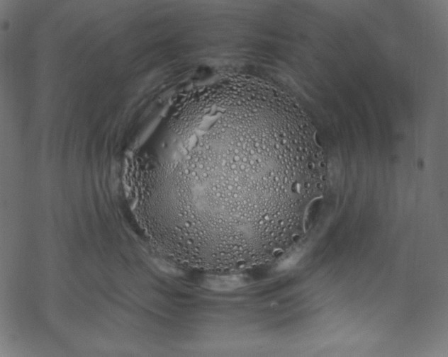 X0000070230671200605301457