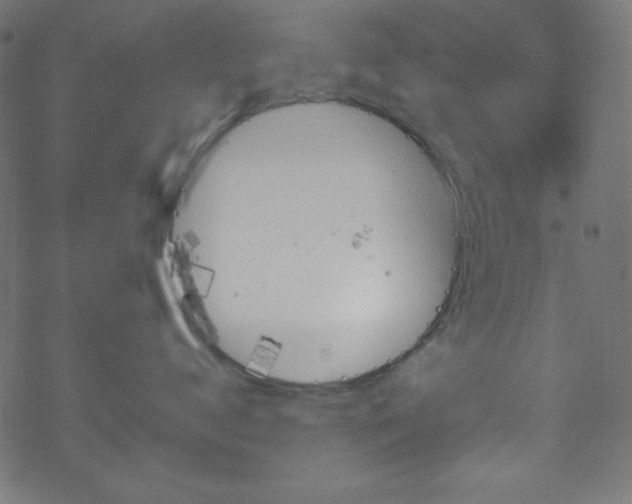 X0000070230672200605301457