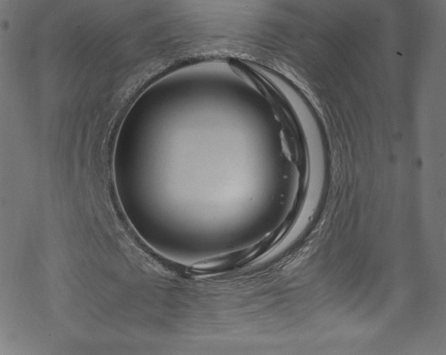 X0000070230673200605301456