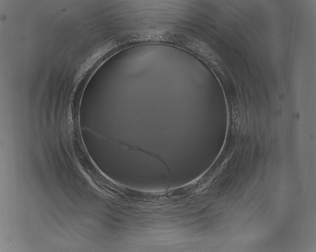 X0000070230674200605301456