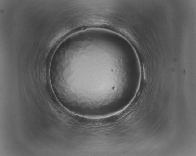 X0000070230675200605301456