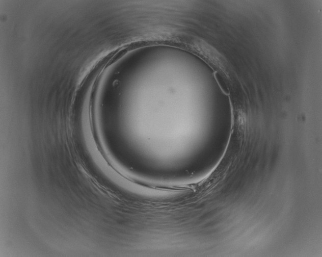 X0000070230676200605301456