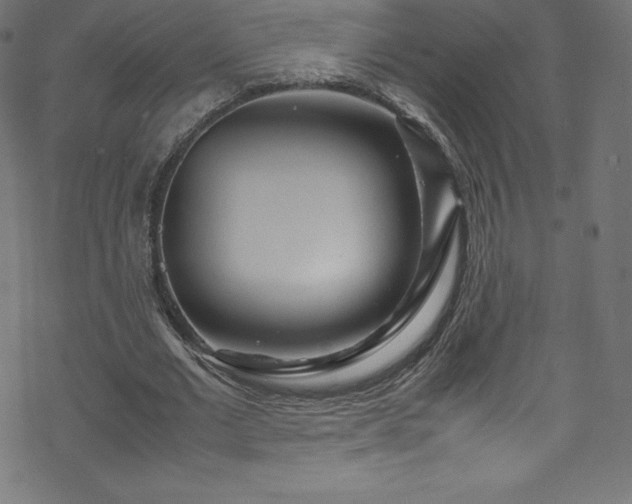 X0000070230677200605301456