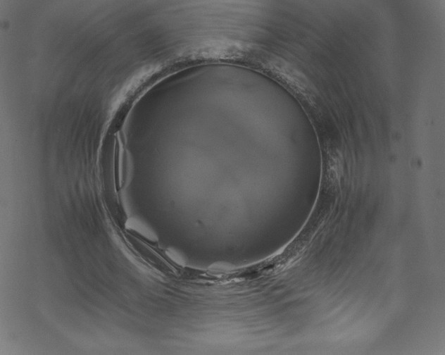 X0000070230678200605301456