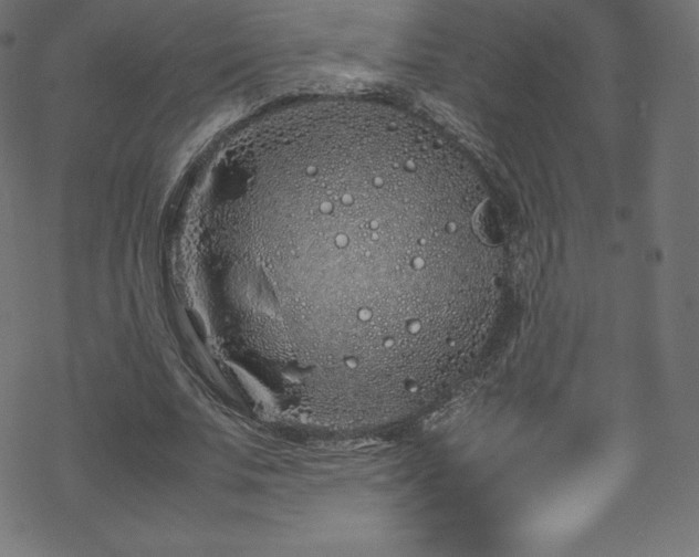 X0000070230679200605301456