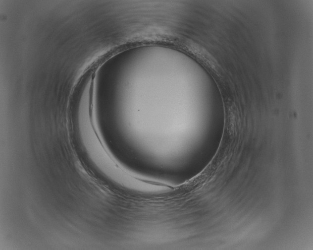 X0000070230680200605301456