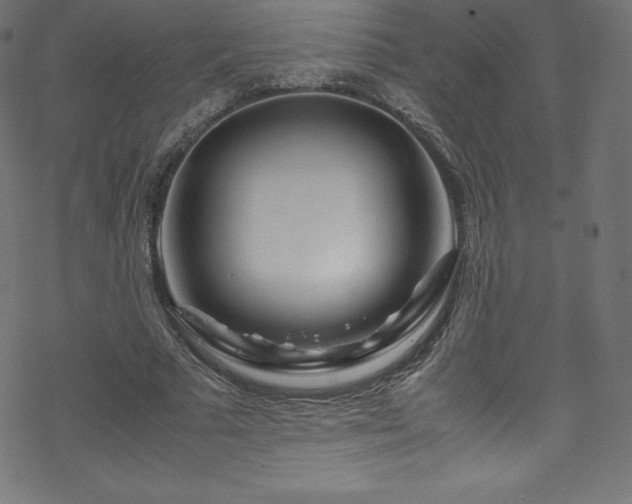 X0000070230681200605301456