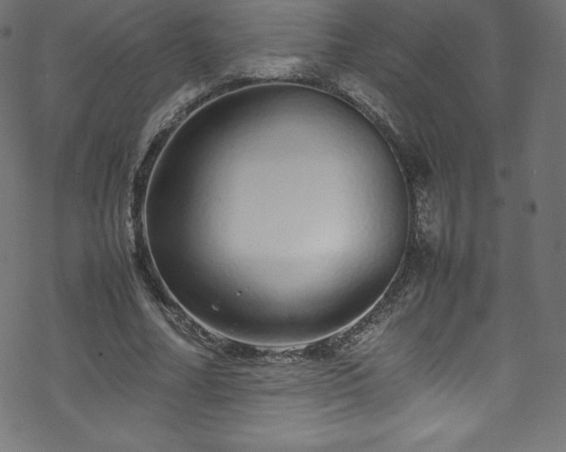 X0000070230682200605301456