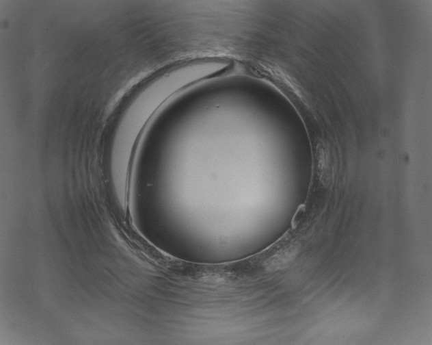 X0000070230684200605301456