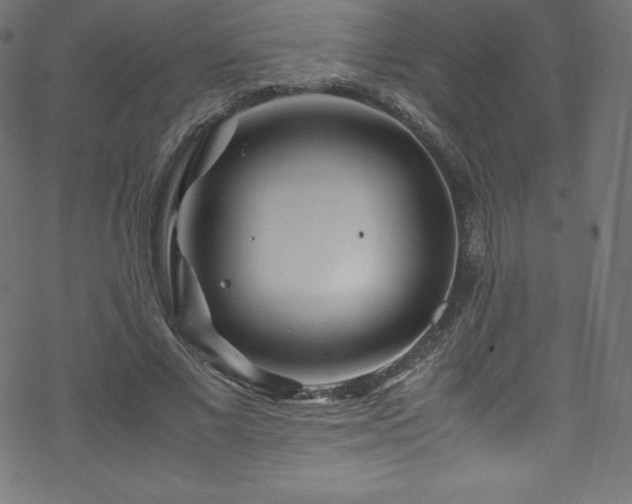 X0000070230685200605301456