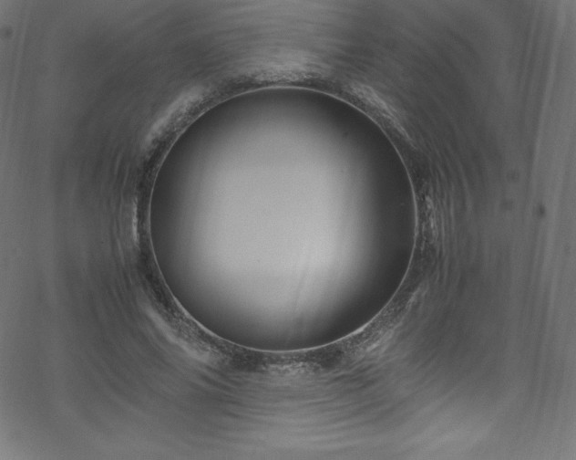 X0000070230686200605301456