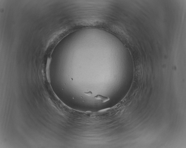 X0000070230688200605301456