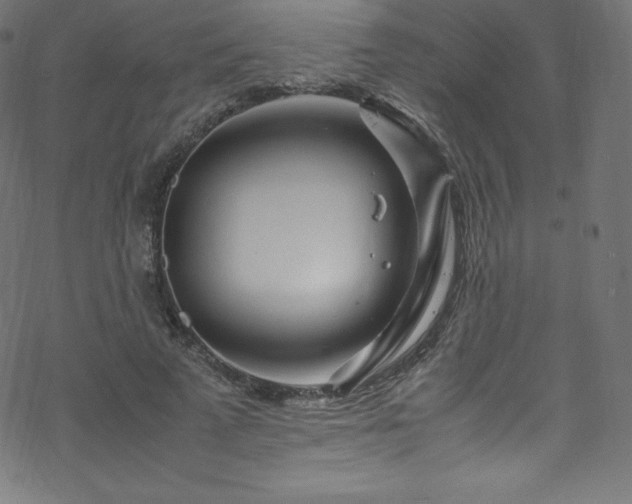 X0000070230689200605301456