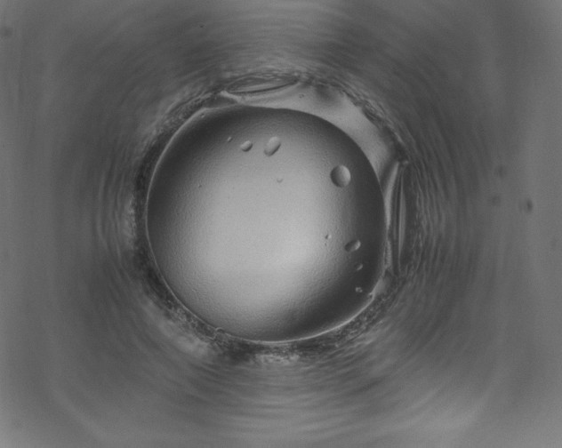 X0000070230690200605301456