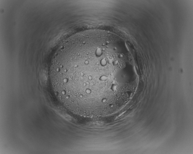 X0000070230691200605301456