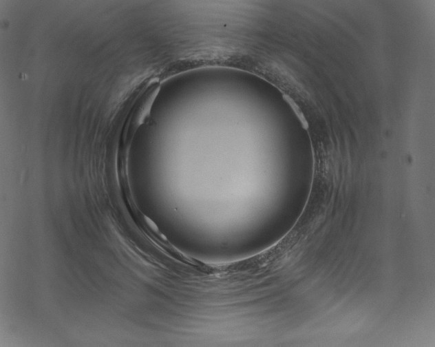 X0000070230692200605301456