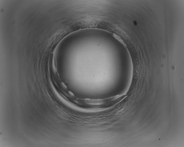 X0000070230693200605301456