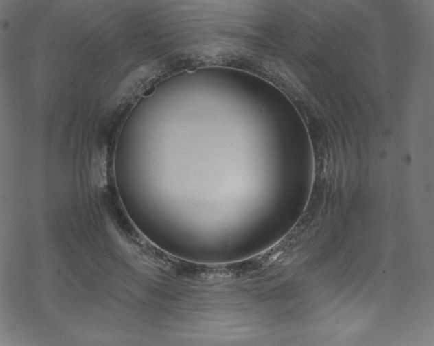 X0000070230694200605301456