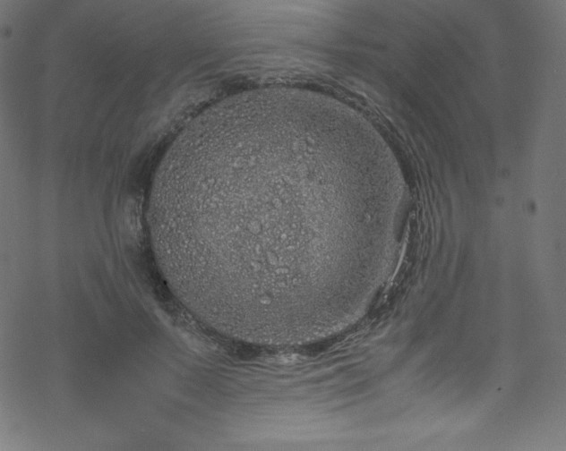 X0000070230695200605301456