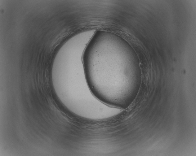 X0000070230696200605301456