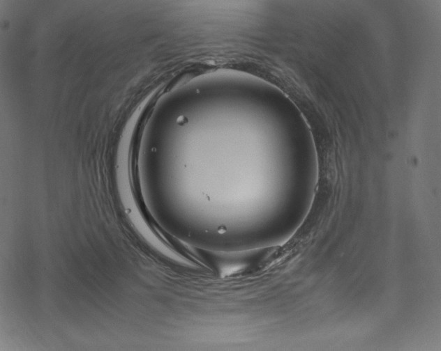 X0000070230697200605301456