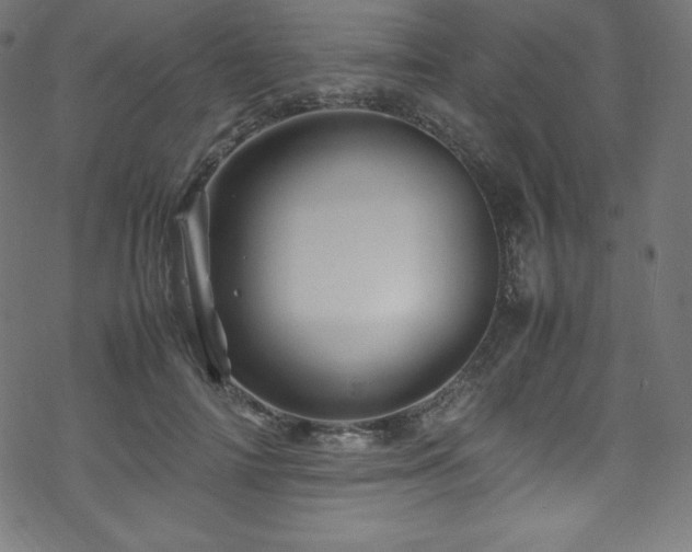 X0000070230698200605301456