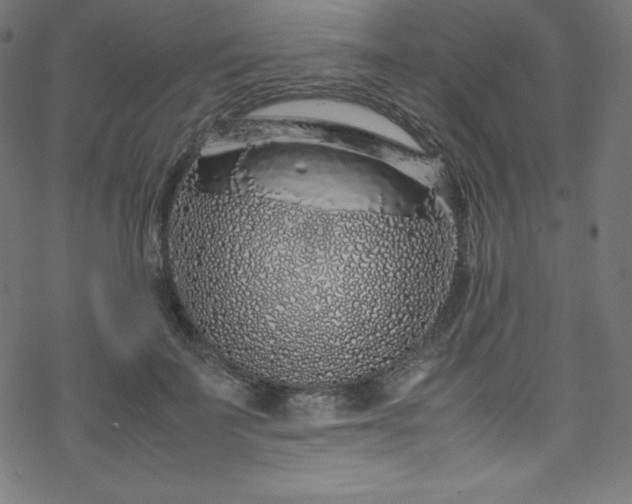 X0000070230699200605301456