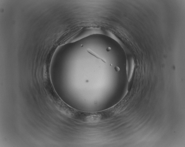 X0000070230700200605301456