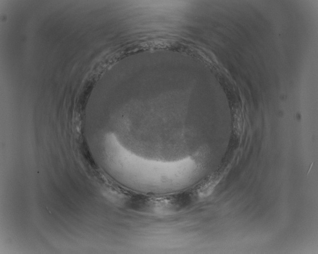 X0000070230701200605301456