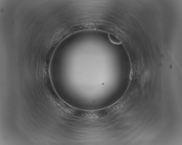 X0000070230702200605301456