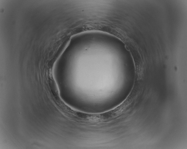 X0000070230703200605301456