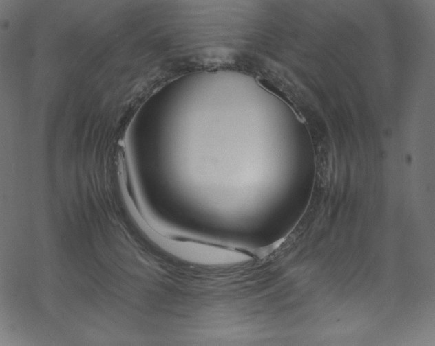 X0000070230704200605301456