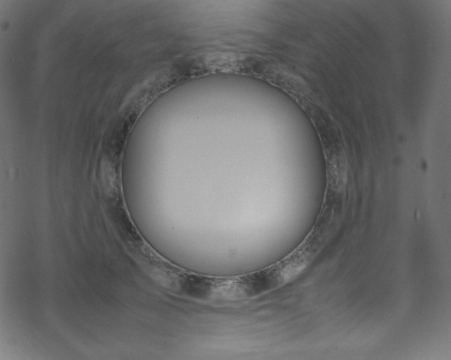 X0000070230705200605301456