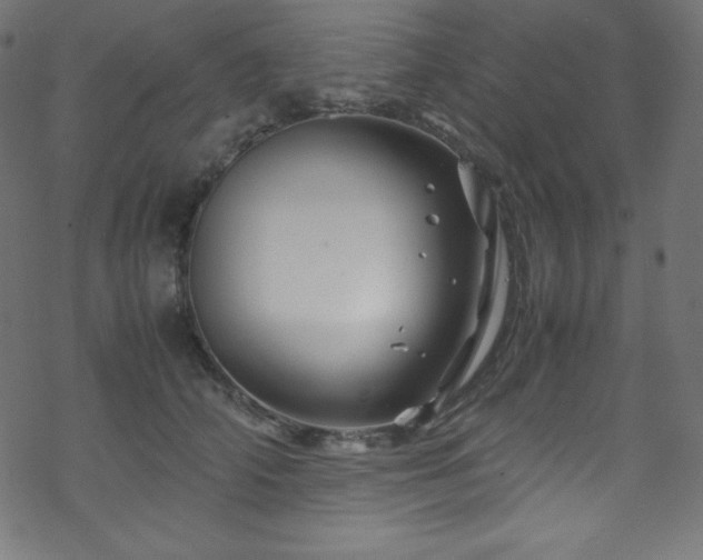 X0000070230706200605301456