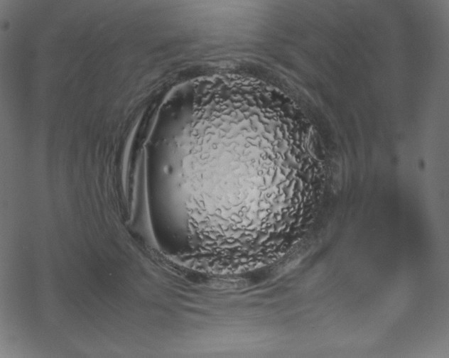 X0000070230707200605301456