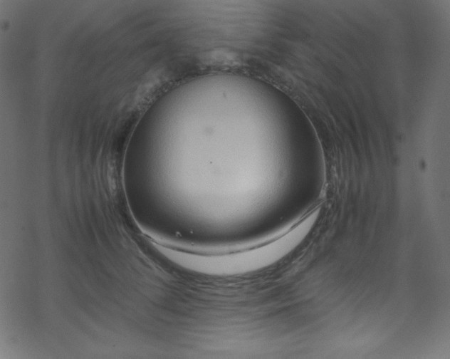 X0000070230708200605301456